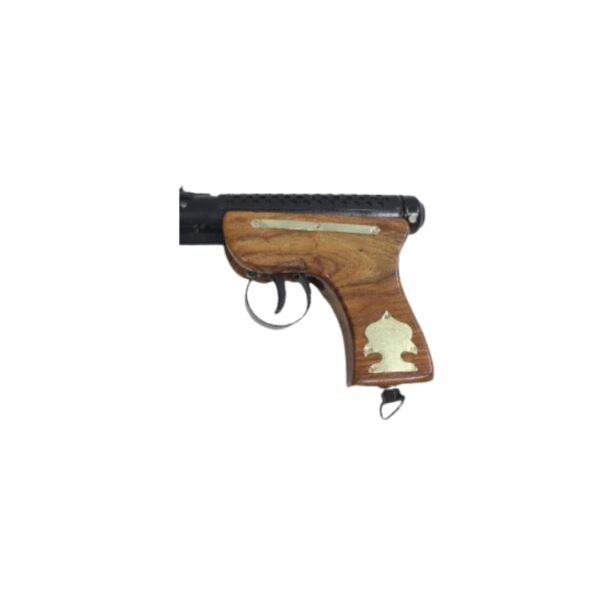 bullet 2 wooden air gun