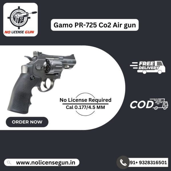Gamo PR-725 Co2 Air Gun
