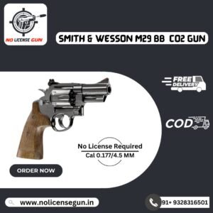Smith Wesson M29 Co2 Gun