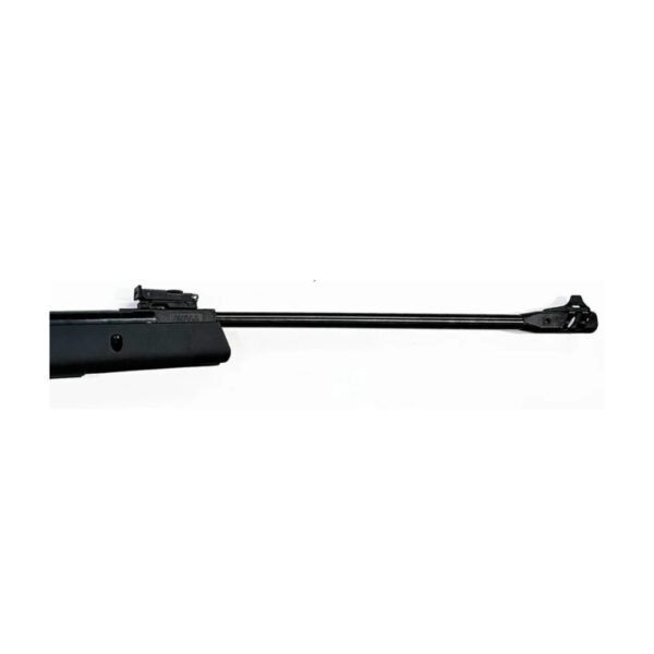 AARMR NATIONAL AIR RIFLE,