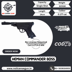 Heman Commander boss