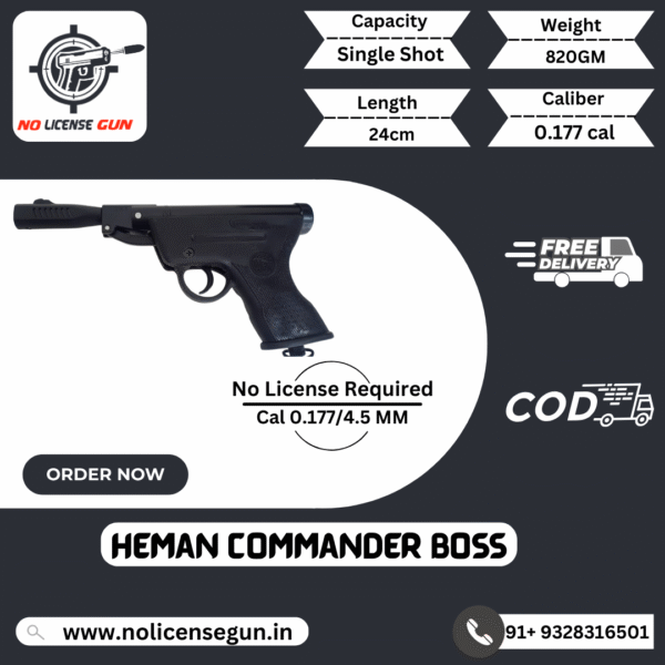 Heman Commander boss