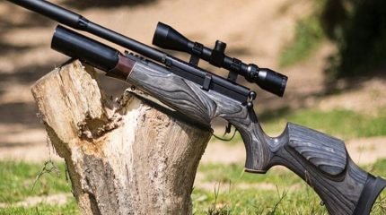 pcp-air-rifle-1